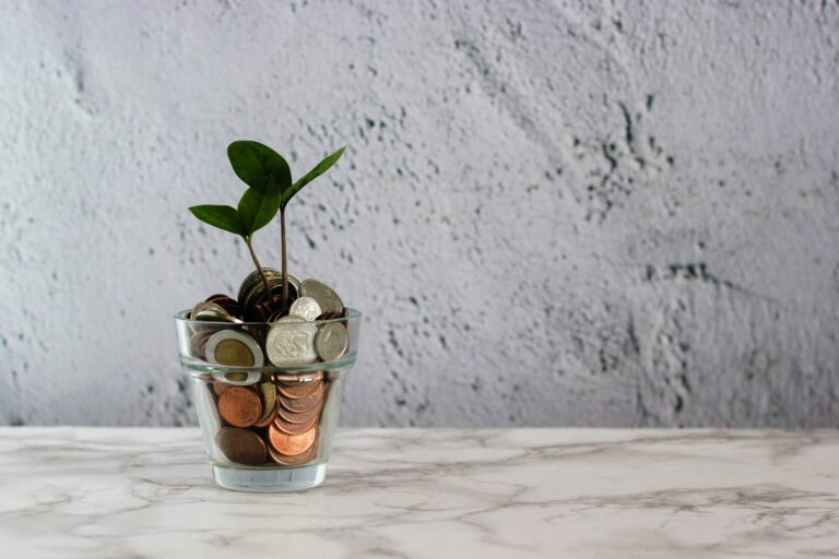 Cup filled with coins sitting on counter with small green plant growing out of it, what is the cost of braces at morejon + andrews orthodontics